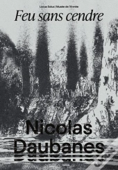 Nicolas Daubanes, Dessiner La Guerre (1870-1945) : Feu Sans Cendre