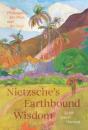 Nietzsche'S Earthbound Wisdom - Preview