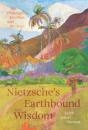 Nietzsche'S Earthbound Wisdom - Preview