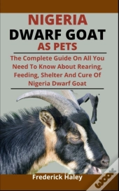 Nigeria Dwarf Goats As Pet