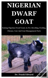 Nigerian Dwarf Goat