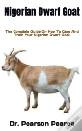 Nigerian Dwarf Goat