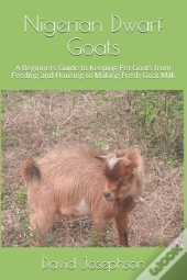 Nigerian Dwarf Goats
