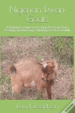 Capa do artigo Nigerian Dwarf Goats