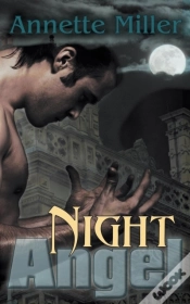 Capa do artigo Night Angel