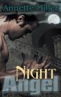 Night Angel - Preview