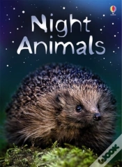 Capa do artigo Night Animals