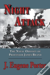 Capa do artigo Night Attack