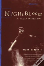 Capa do artigo Night Bloom