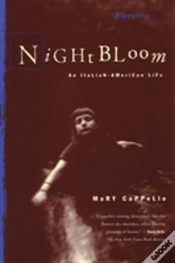 Capa do artigo Night Bloom
