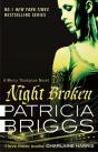 Night Broken - Preview