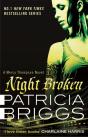 Night Broken - Preview