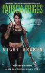 Night Broken - Preview