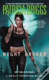 Capa do artigo Night Broken