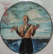 Capa do artigo Night Call - Vinil