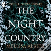 Capa do artigo Night Country