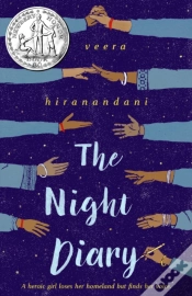 Capa do artigo Night Diary