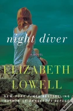 Capa do artigo Night Diver