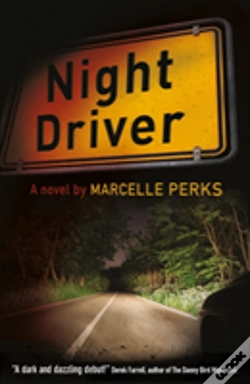 Capa do artigo Night Driver
