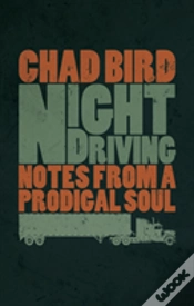 Capa do artigo Night Driving
