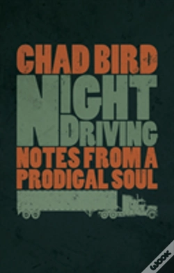 Capa do artigo Night Driving
