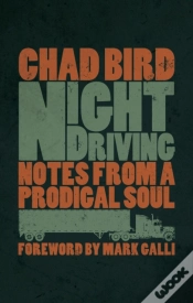 Capa do artigo Night Driving