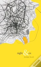 Capa do artigo Night & Ox