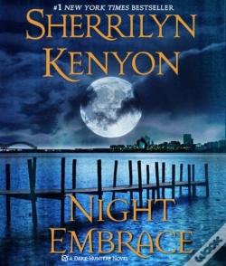 Capa do artigo Night Embrace