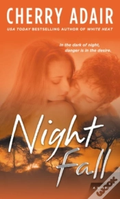 Capa do artigo Night Fall