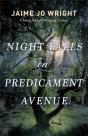 Night Falls On Predicament Avenue - Preview