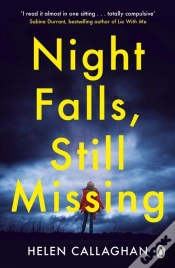 Capa do artigo Night Falls, Still Missing