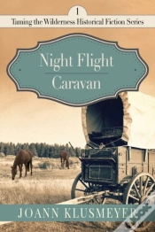 Capa do artigo Night Flight And Caravan