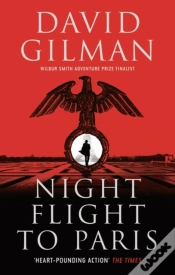 Capa do artigo Night Flight To Paris
