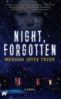 Night, Forgotten - Preview