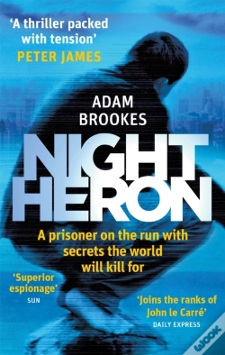 Capa do artigo Night Heron