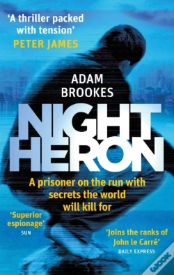 Capa do artigo Night Heron