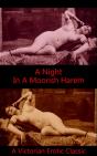 Night In A Moorish Harem - Preview