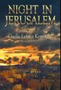 Night In Jerusalem - Preview