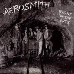 Capa do artigo Night in the Ruts - CD