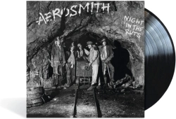 Capa do artigo Night in the Ruts - Vinil