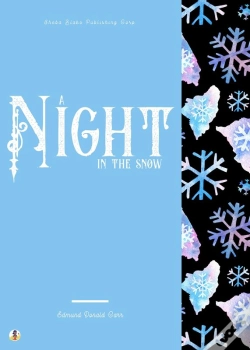 Capa do artigo Night In The Snow