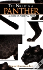 Capa do artigo Night Is A Panther