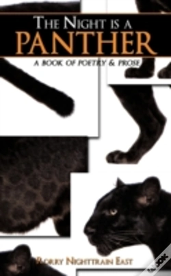 Capa do artigo Night Is A Panther
