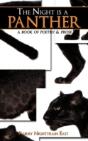 Night Is A Panther - Preview