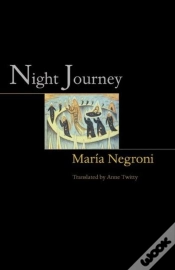 Capa do artigo Night Journey