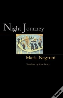 Capa do artigo Night Journey