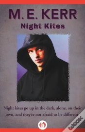 Capa do artigo Night Kites