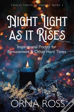 Capa do artigo Night Light As It Rises