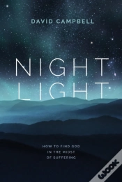 Capa do artigo Night Light