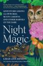 Night Magic - Preview